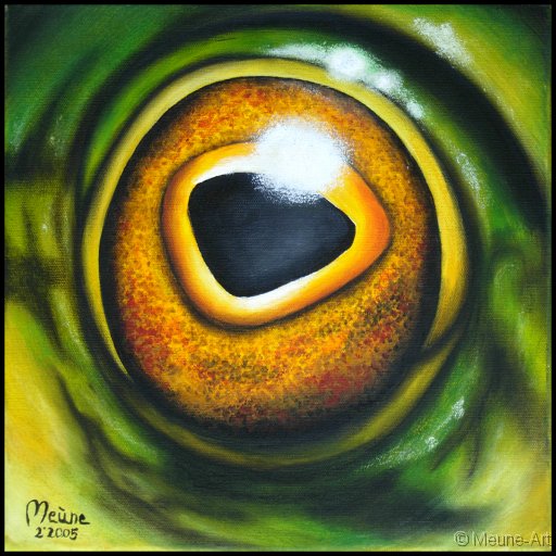 Augenblick eines europäischen Laubfrosches Acryl auf Leinwand;
30 x 30 cm